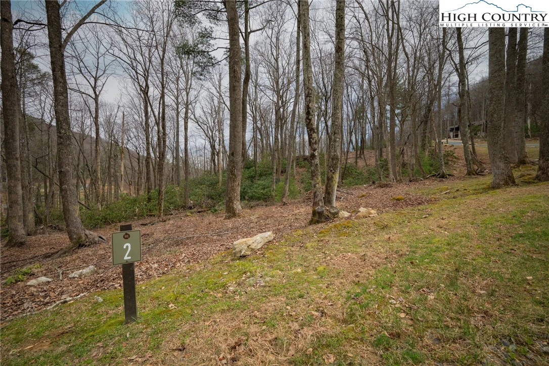 Image number 3 for the current listing