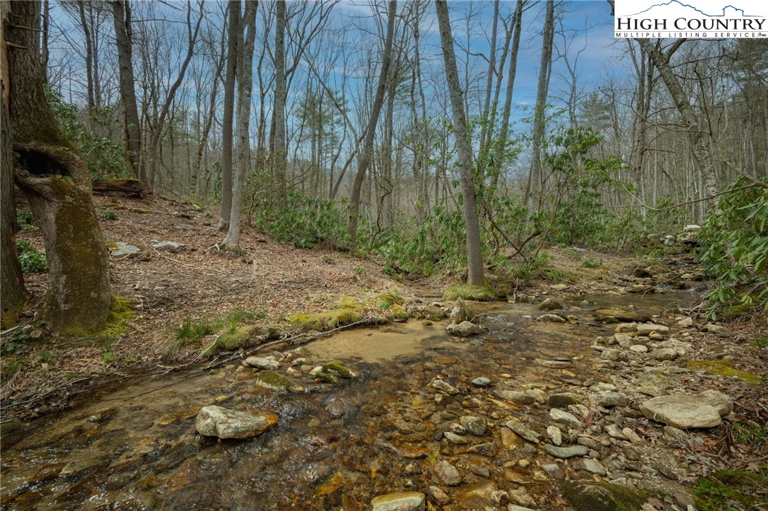 Image number 4 for the current listing