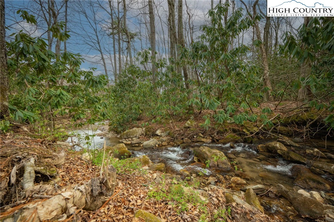 Image number 12 for the current listing