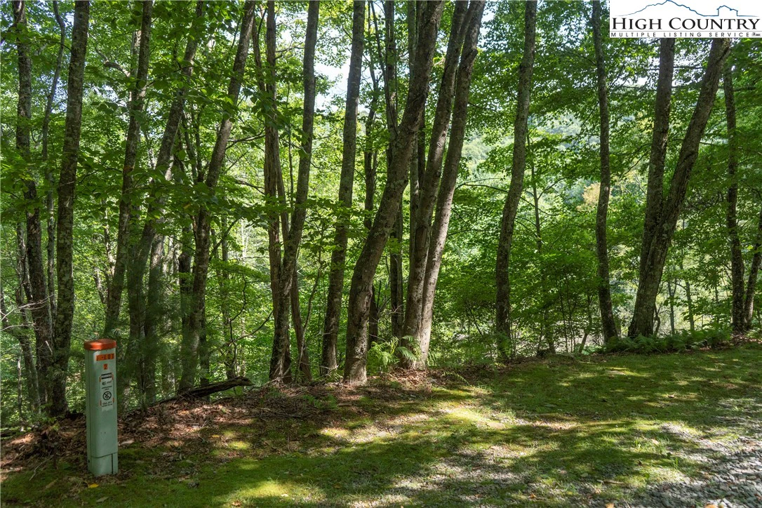 Image number 5 for the current listing