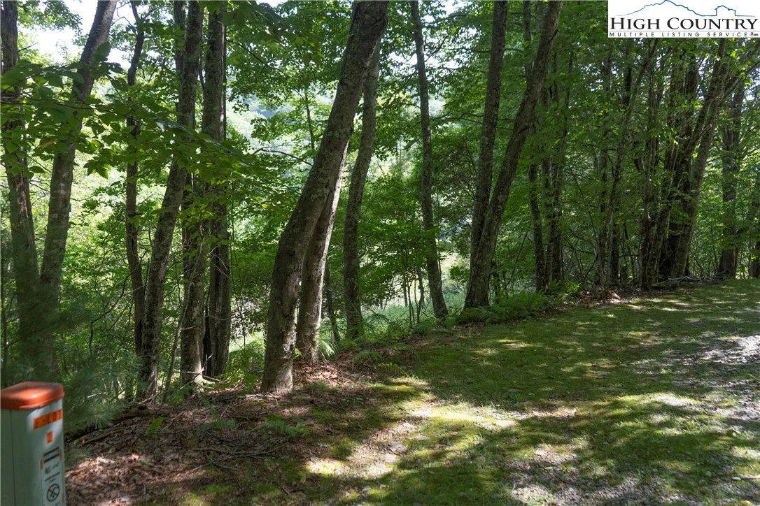 Image number 6 for the current listing