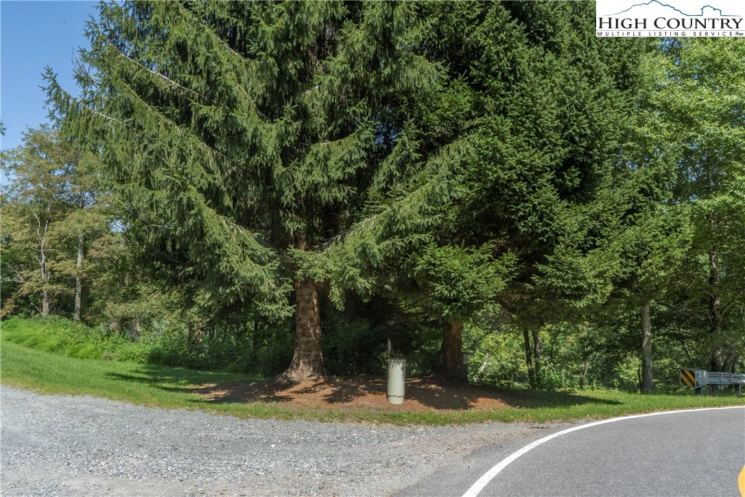 Image number 3 for the current listing