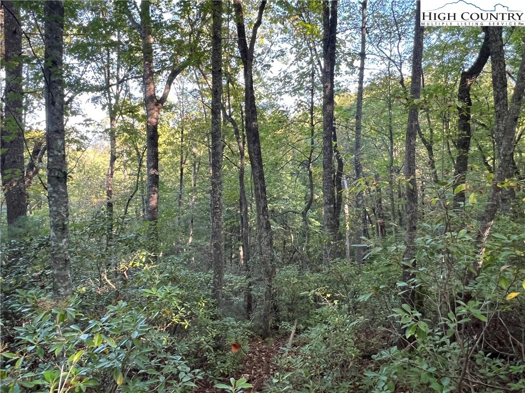 Image number 13 for the current listing