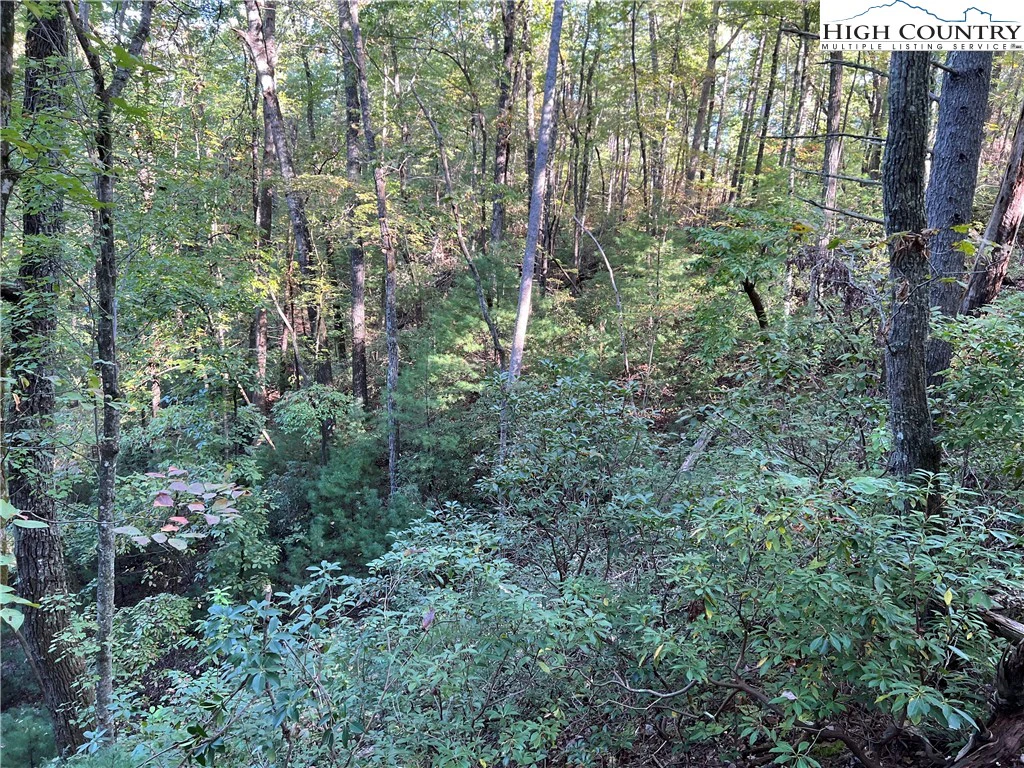 Image number 11 for the current listing