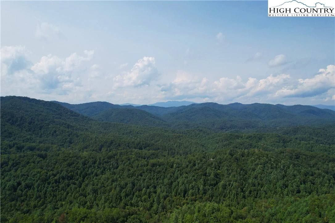 Image number 3 for the current listing