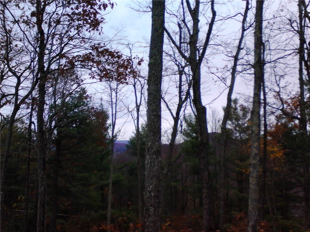 Image number 20 for the current listing