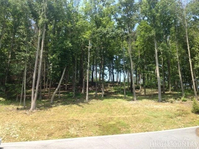 Image number 7 for the current listing