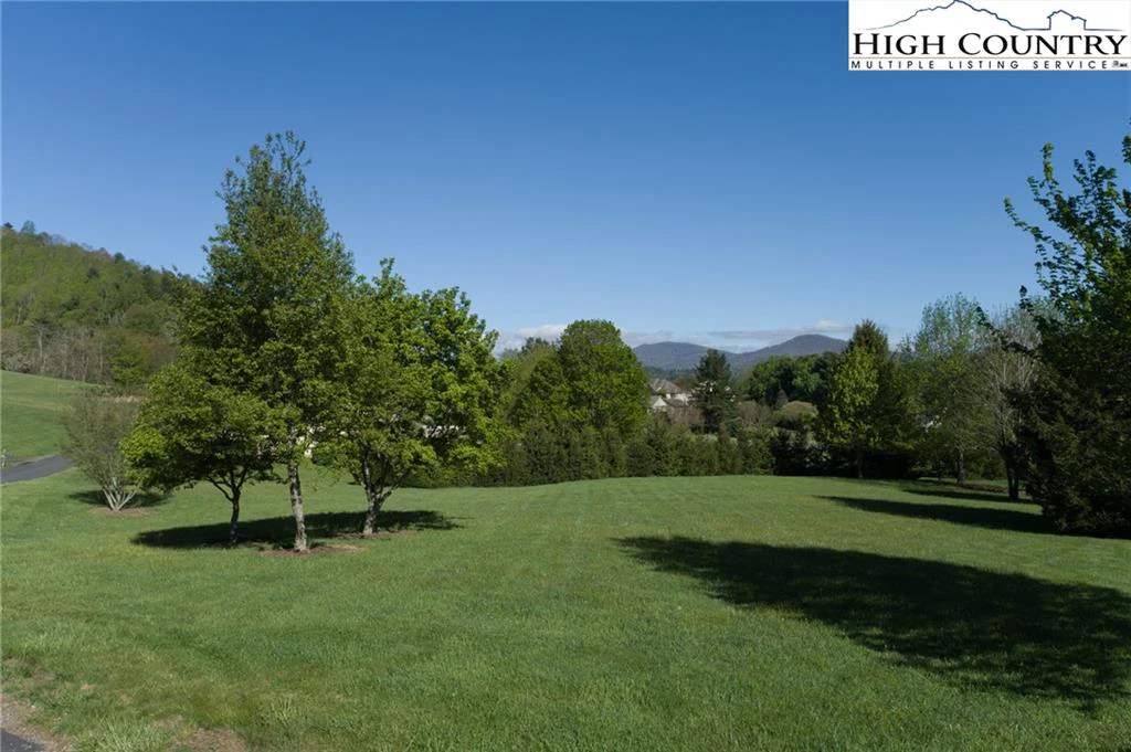 Image number 1 for the current listing