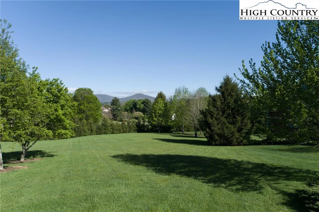 Image number 3 for the current listing