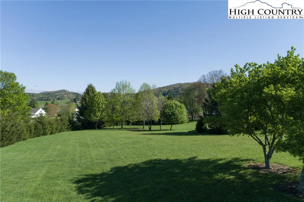 Image number 4 for the current listing