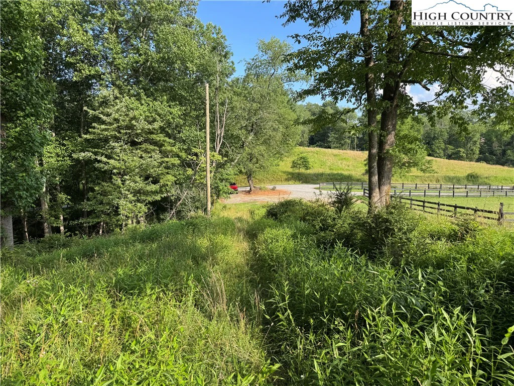 Image number 1 for the current listing