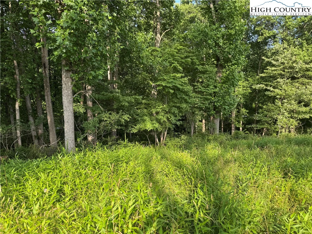 Image number 3 for the current listing