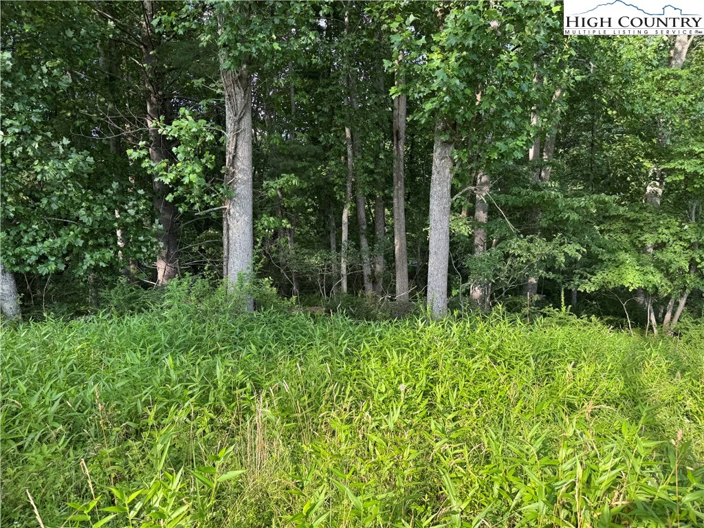 Image number 4 for the current listing