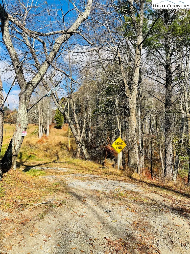 Image number 12 for the current listing