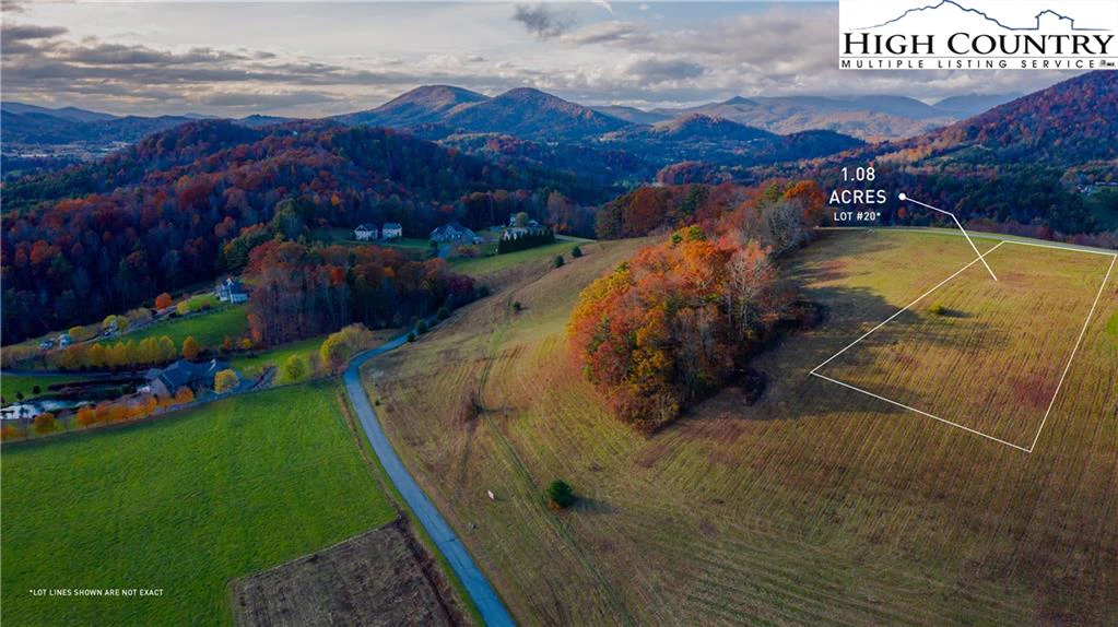 Image number 1 for the current listing