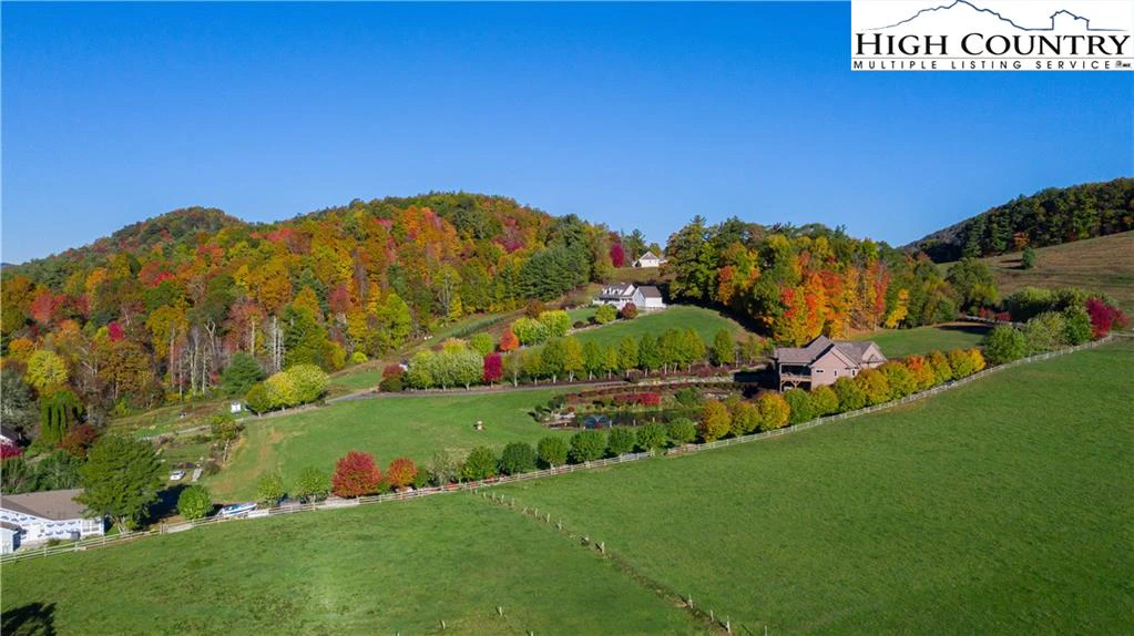 Image number 11 for the current listing