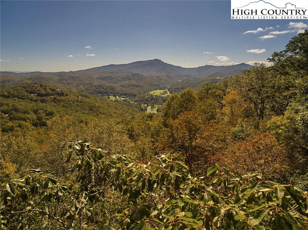Image number 1 for the current listing