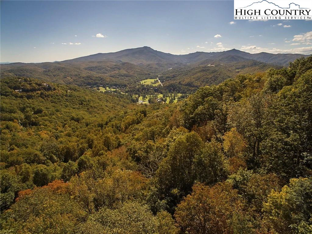 Image number 3 for the current listing