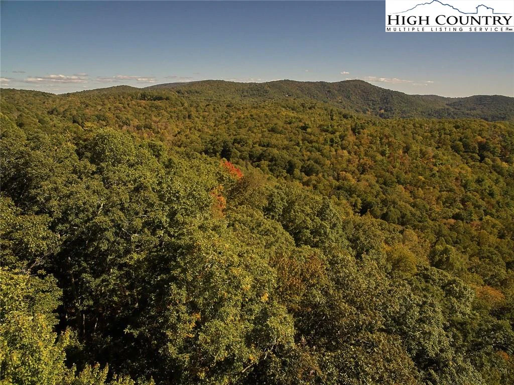 Image number 4 for the current listing