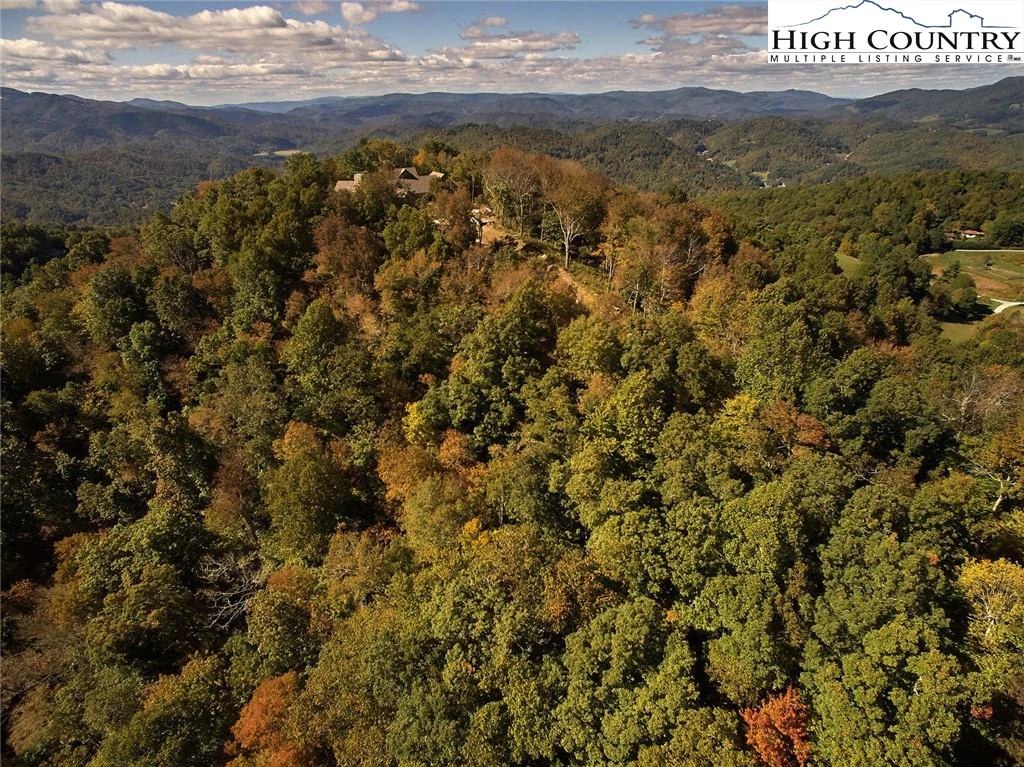 Image number 5 for the current listing