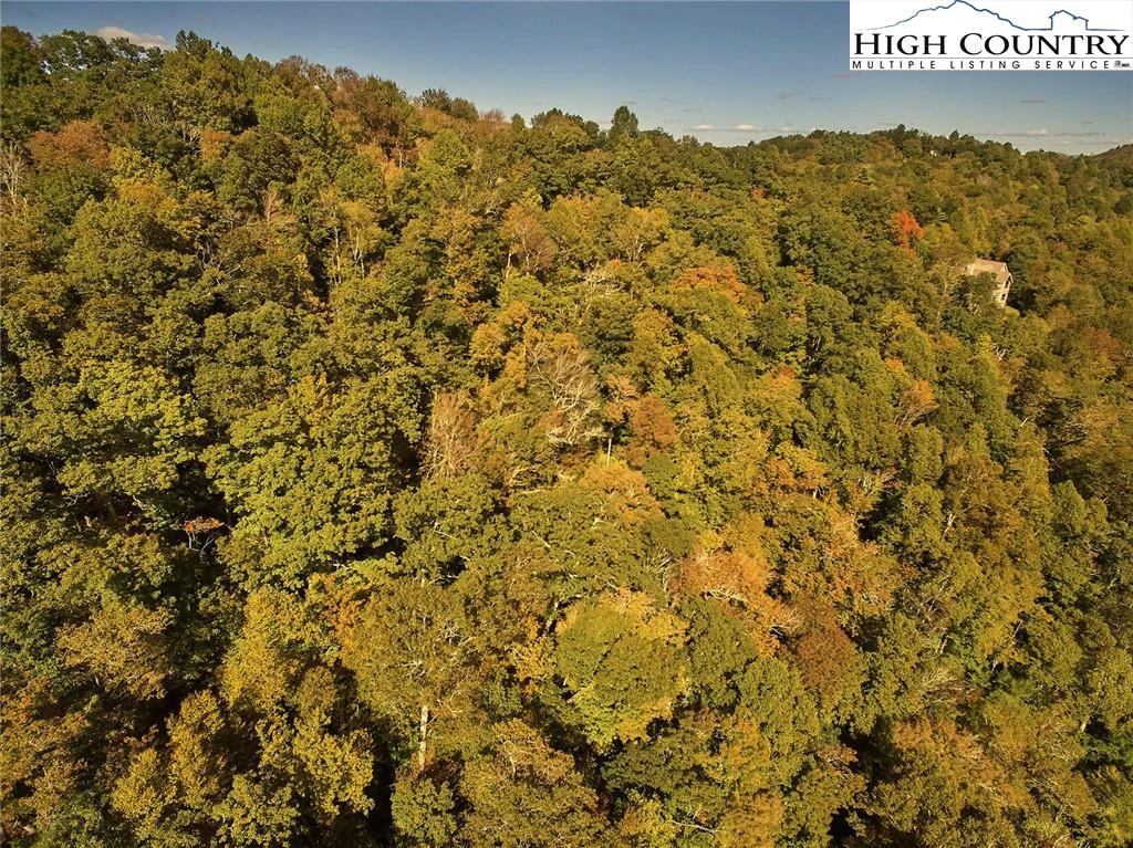 Image number 6 for the current listing