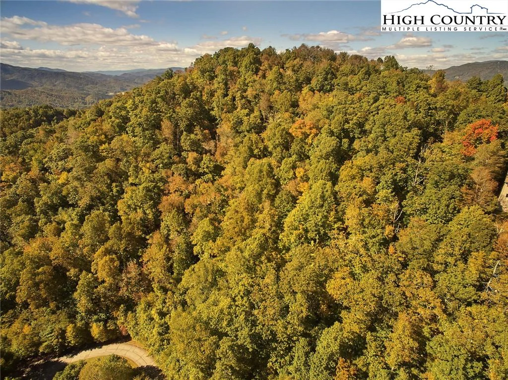 Image number 7 for the current listing