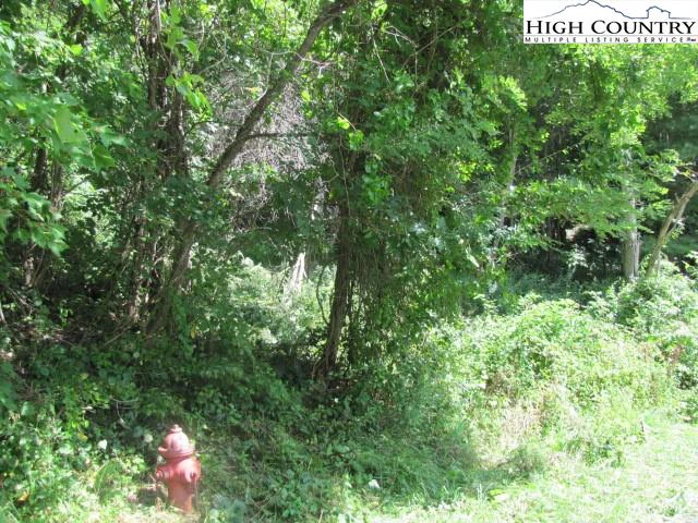 Image number 7 for the current listing