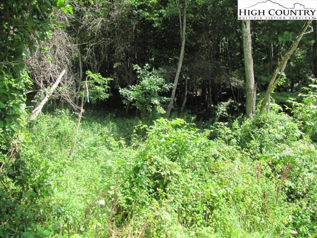 Image number 8 for the current listing