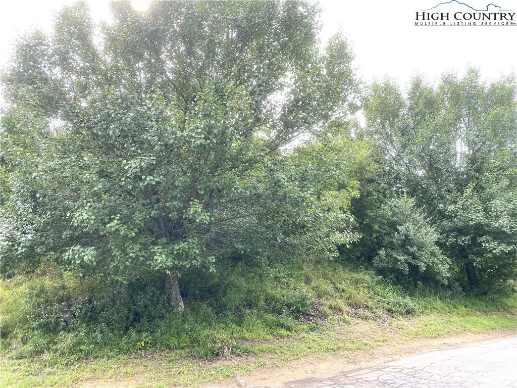 Image number 1 for the current listing