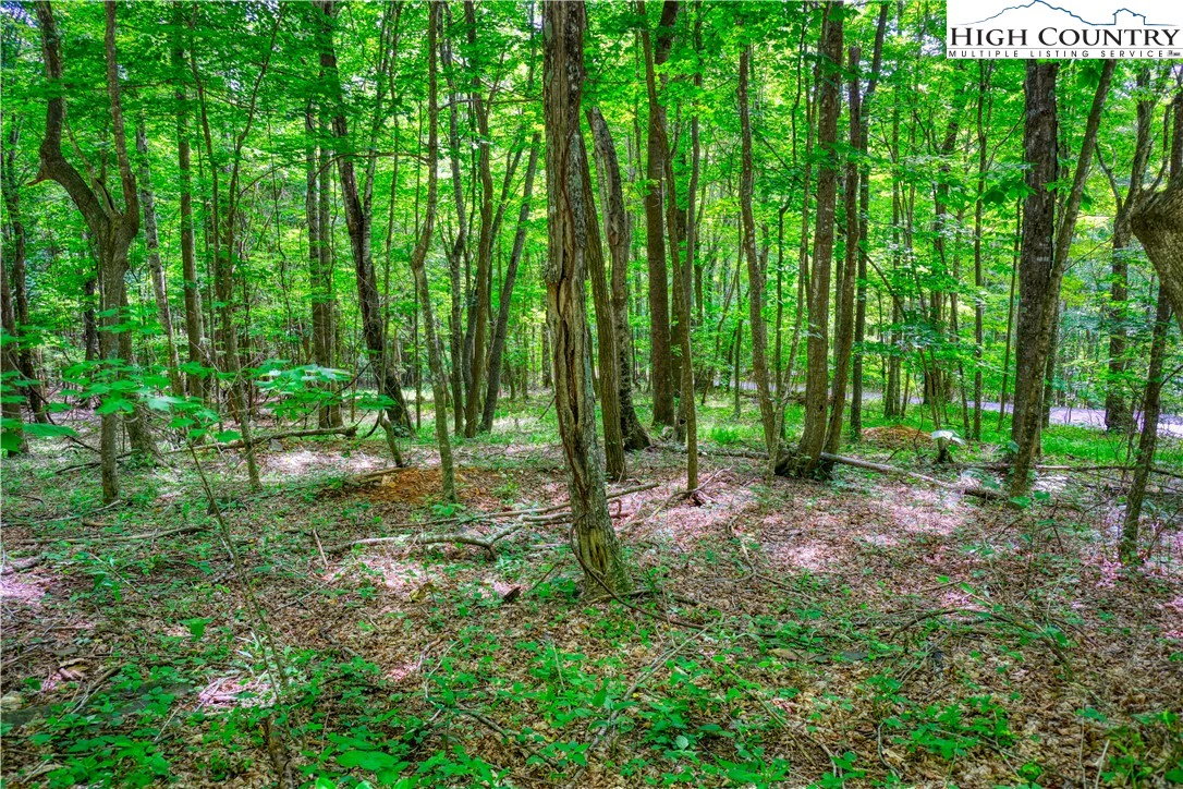 Image number 6 for the current listing