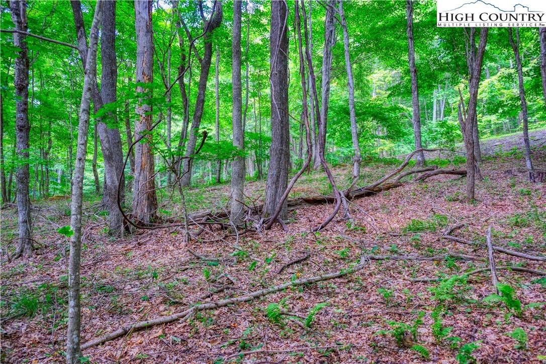 Image number 9 for the current listing