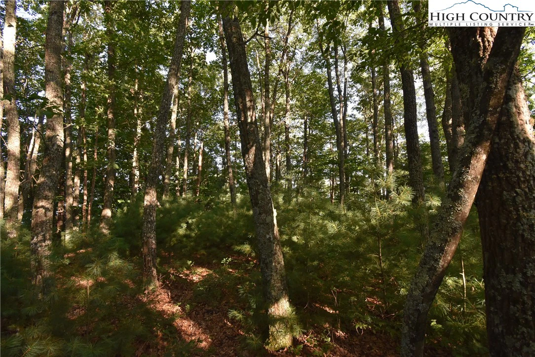Image number 3 for the current listing