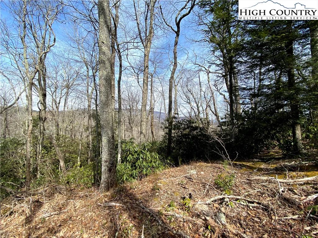 Image number 11 for the current listing