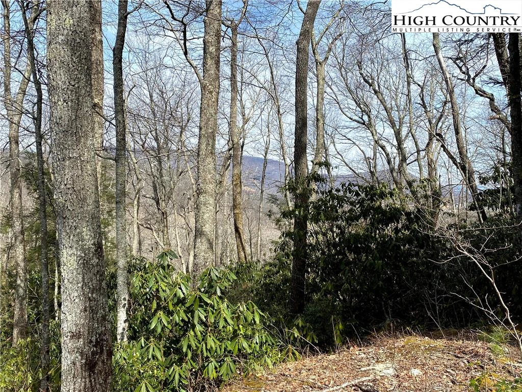 Image number 12 for the current listing