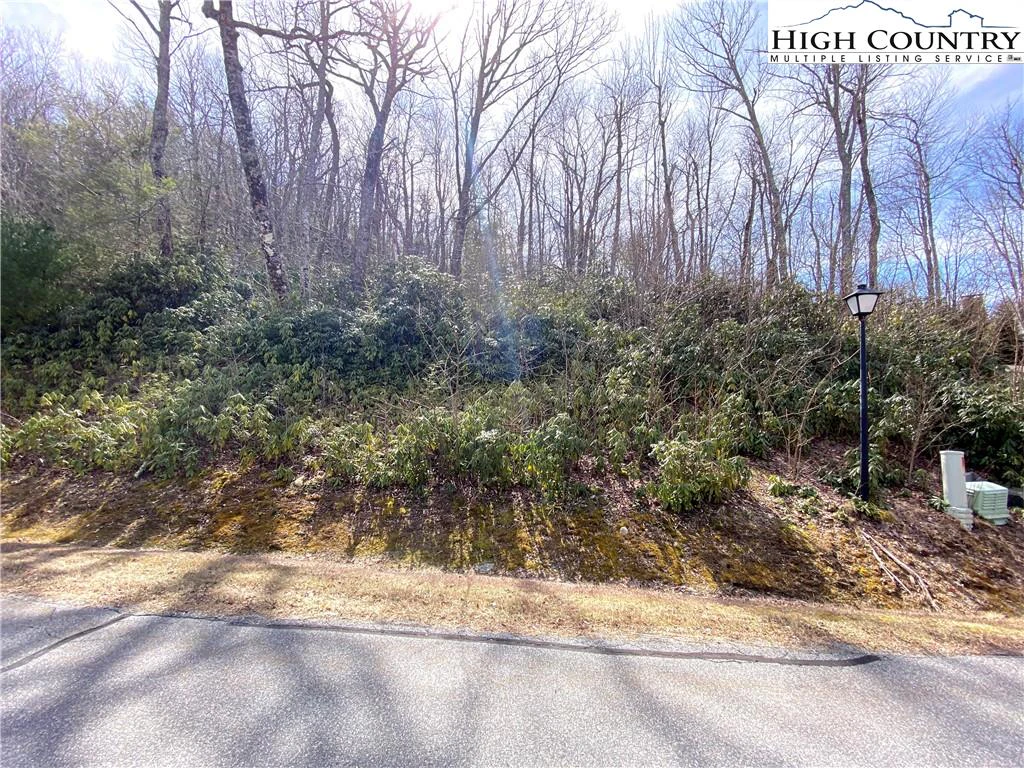 Image number 4 for the current listing