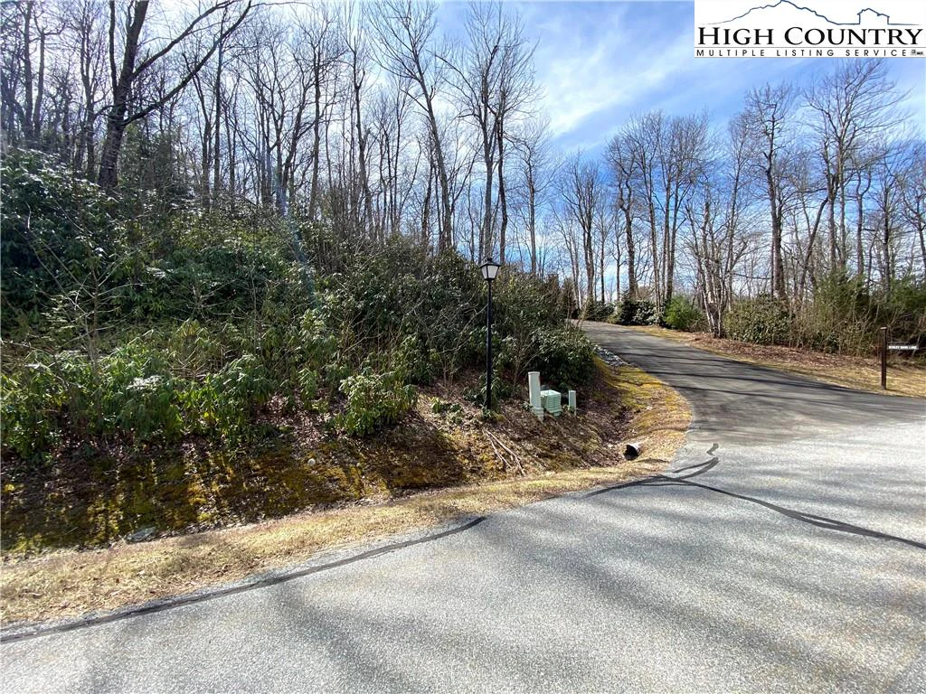 Image number 5 for the current listing
