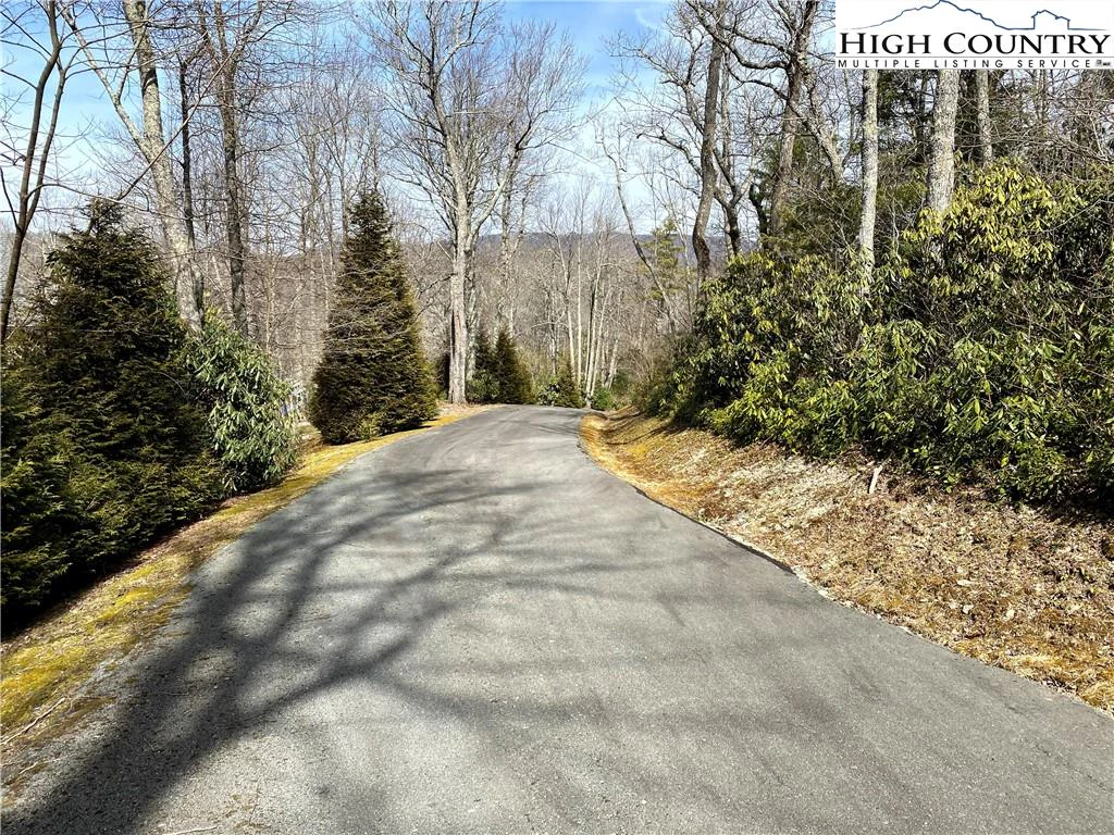 Image number 7 for the current listing