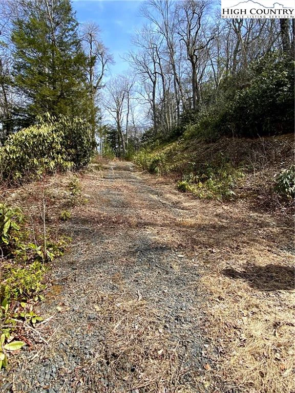 Image number 8 for the current listing