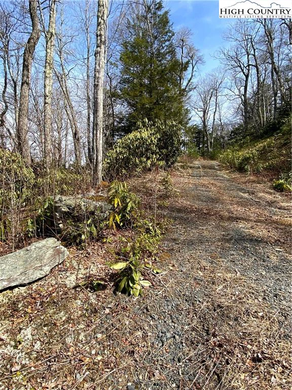 Image number 9 for the current listing