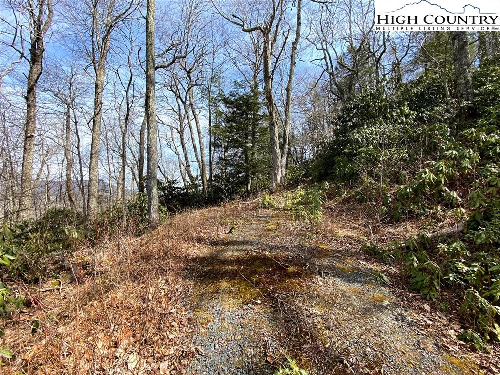 Image number 10 for the current listing
