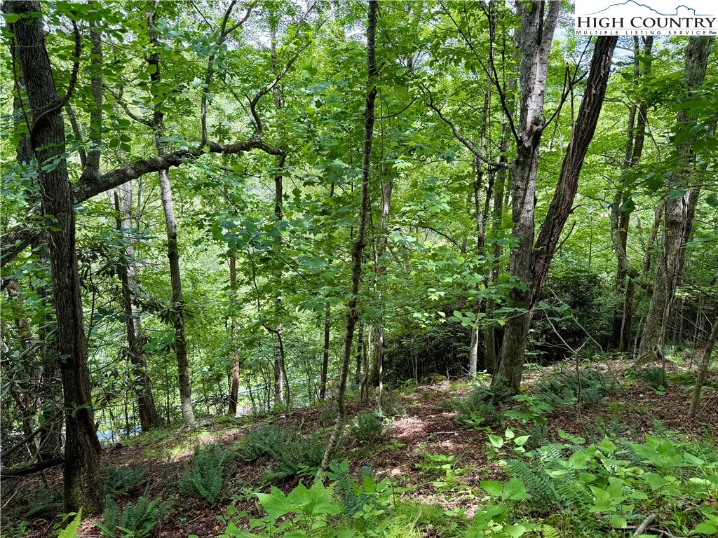 Image number 18 for the current listing