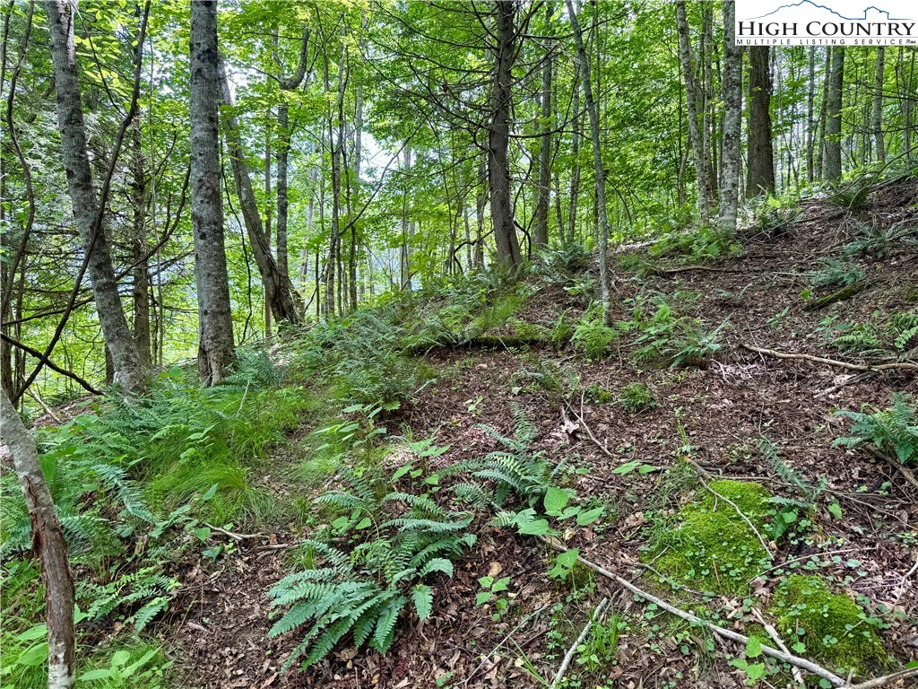 Image number 14 for the current listing