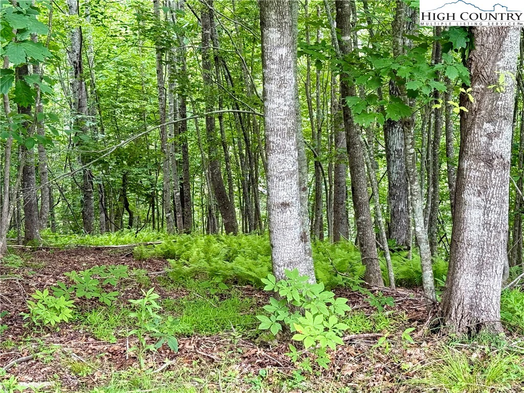 Image number 1 for the current listing