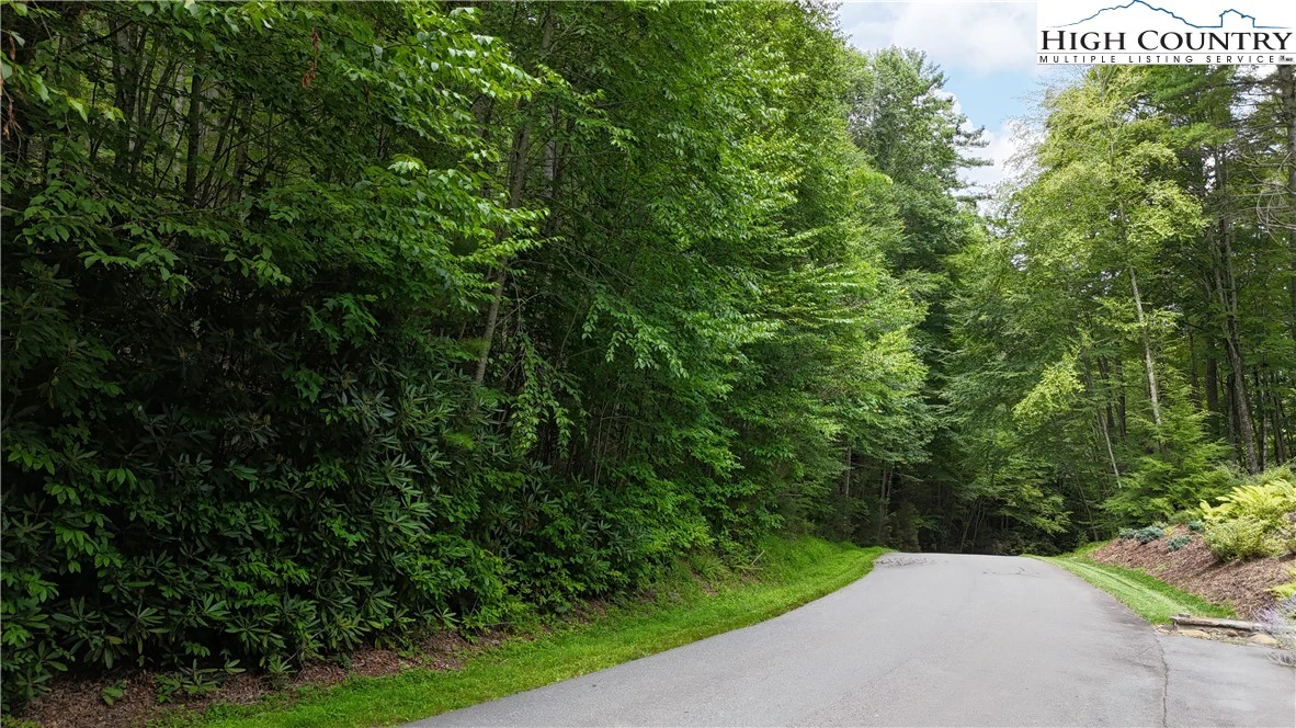 Image number 1 for the current listing