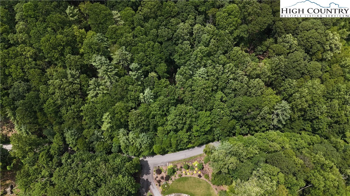 Image number 4 for the current listing