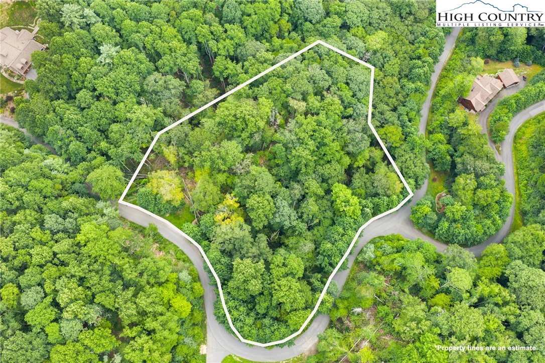 Image number 1 for the current listing