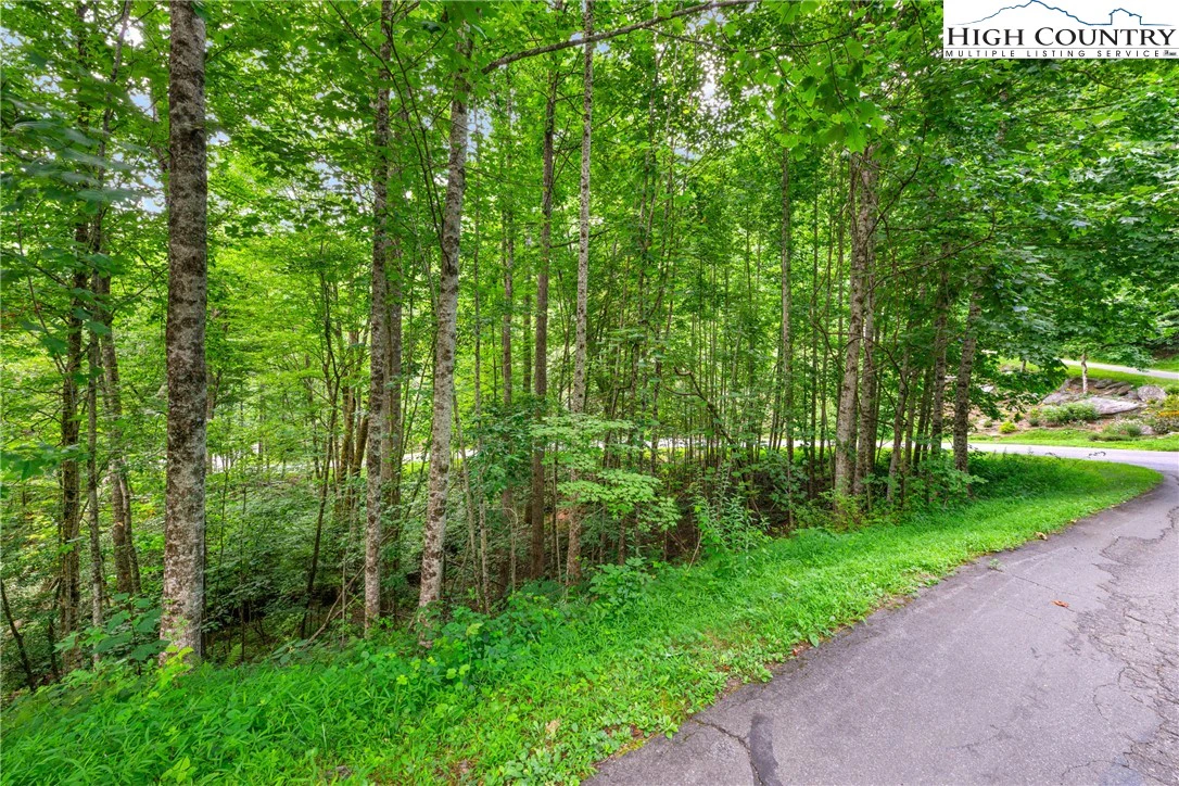 Image number 3 for the current listing