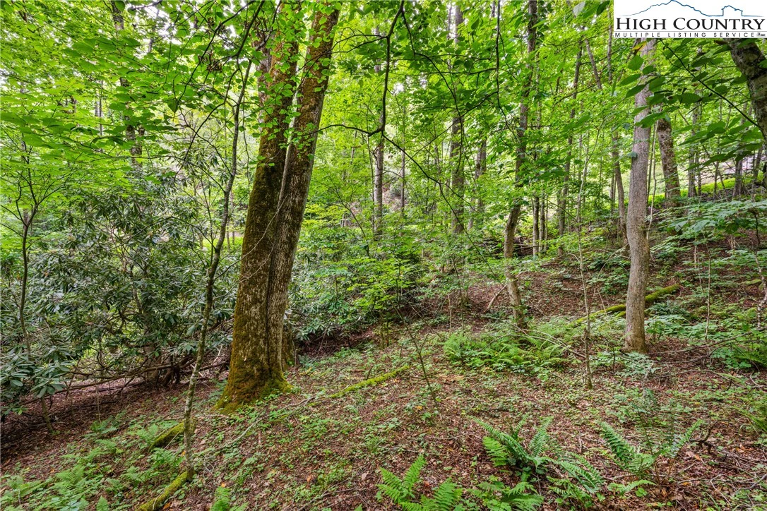 Image number 7 for the current listing