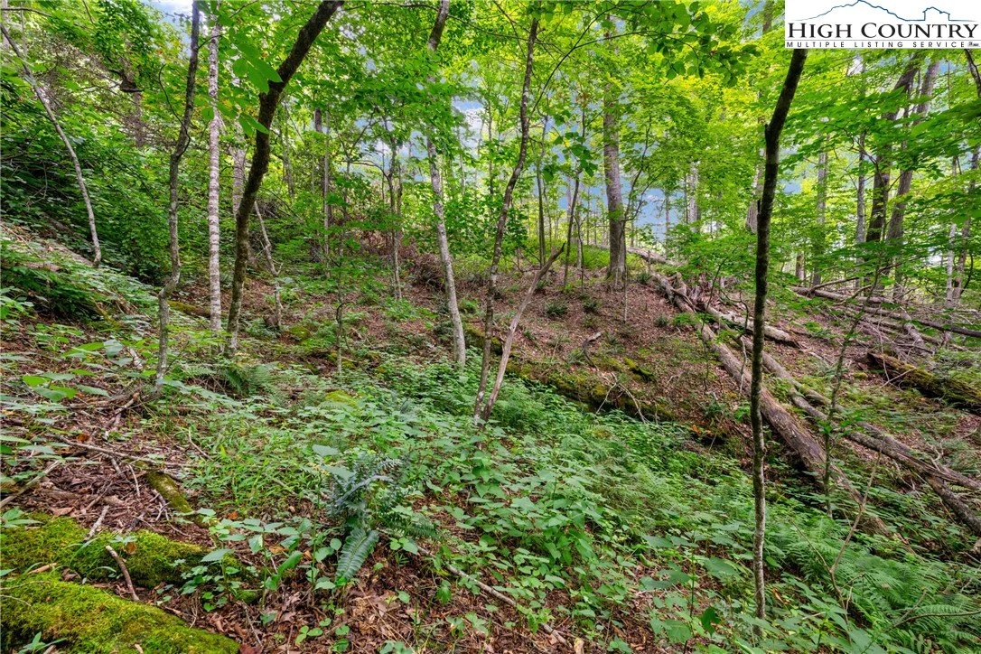 Image number 11 for the current listing