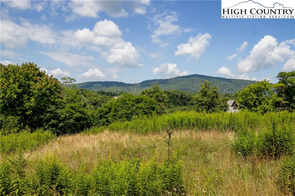 Image number 1 for the current listing